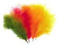 Marabou Blood Quill  Sttuff.jpg