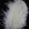 Marabou Blood Quill Cream 02.jpg
