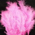 Marabou Blood Quill Pink 05.jpg