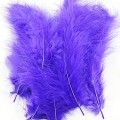 Marabou Blood Quill Violet 15.jpg