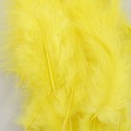 Marabou Blood Quill Yellow 03.jpg