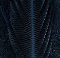 Pheasant Center Tail Black 30.jpg