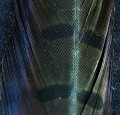 Pheasant Center Tail Dark Olive 32.jpg