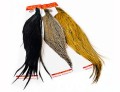 Whiting Brnz 1v2 Cape Brown.jpg