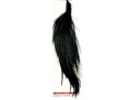 Whiting Black.jpg