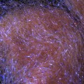 Dubbing Microbrigh Rusty Brown 33.jpg