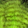 Grizzly Marabou Fluo Green 308.jpg