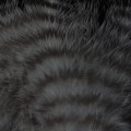 Grizzly Marabou Gray 336.jpg