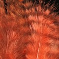 Grizzly Marabou Orange 307.jpg