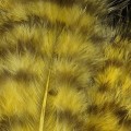 Grizzly Marabou Yellow Olive 324.jpg