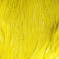 Yellow.jpg
