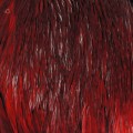 Cock Neck Red.jpg