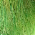 Cock Neck Fluo Green.jpg