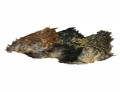 Cock Saddle Natural.jpg