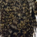 Cock Saddle Natural Grizzly.jpg