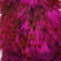Cock Saddle Dyed Grizzly Purple.jpg