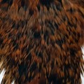 Cock Saddle Dyed Grizzly Orange.jpg