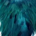 Cock Saddle Dyed Turquoise.jpg