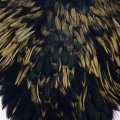 Cock Saddle Dyed Black Gold.jpg