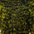 Cock Saddle Dyed Grizzly Olive.jpg