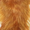 Cock Saddle Dyed Sun Burst.jpg