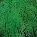Cock Neck Dyed Sttuff Green.jpg