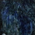 Cock Neck Dyed Sttuff Grizzly Blue.jpg