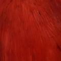 Cock Neck Dyed Sttuff Hot Red.jpg