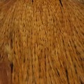 Cock Neck Dyed Sttuff Grizzly SunBurst.jpg