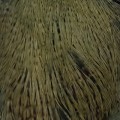 Cock Neck Dyed Sttuff Grizzly Olive.jpg