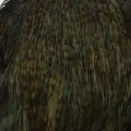 Cock Neck Dyed Dark Olive Grizzly.jpg