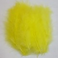 Marabou Blood Quill Sunn Yellow 24.jpg