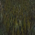 Hen Neck Dyed Sttuff Olive.jpg