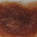 Microbright Dubbing Light Brown 235.jpg