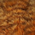 Grizzly Marabou Rusnet 35.jpg