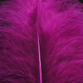 Marabou XL  Magenta 22.jpg