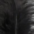 Marabou XL Black 38.jpg