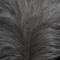 Marabou XL Blue Dun 19.jpg