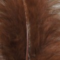 Marabou XL Brown 27.jpg