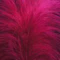 Marabou XL Bugundy 13.jpg