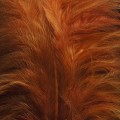 Marabou XL Fiery Brown 28.jpg