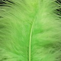 Marabou XL Fluo Green 08.jpg