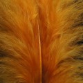 Marabou XL Ginger 33.jpg