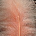 Marabou XL Salmon 14.jpg