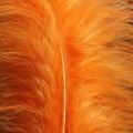 Marabou XL Sunny Orange 16.jpg