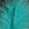 Marabou XL Turquoise 31.jpg