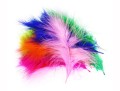 Marabou Select XL Sttuff (3).jpg