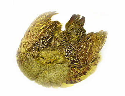 Kuropatwa Skóra Golden Olive Sttuff.jpg