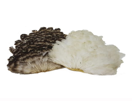 Hen Saddle Sttuff.jpg