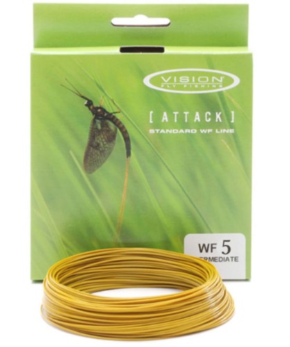 Vision Attack Intermediate WF5.jpg